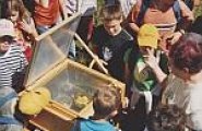 HomePageThumbnail-bad_goisern_bibelgarten_kindergruppe_150x100