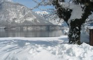gartenwinter1