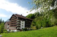 bad goisern am hallstaettersee alpenhotel dachstein ferienwohnungen c lkraft 211