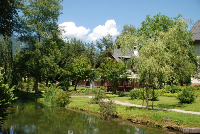 polster esszimmerstühle