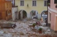 netwerkstatt/Krauß