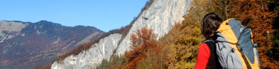 Goiserer Figuren & Sagenweg: Blick auf die Ewige Wand - &copy; Kraft