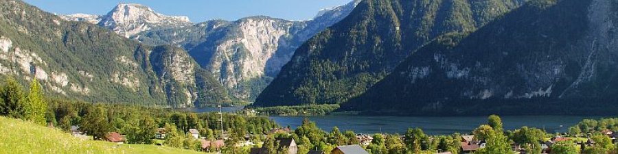 Dieser Ausblick erwartet Sie im Ferienhaus Kopriwa