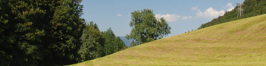 Hochmuthrunde Bad Goisern