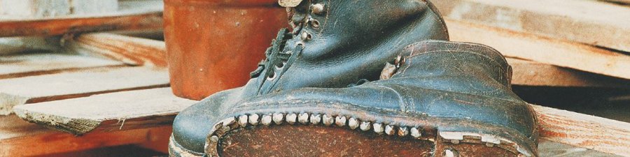 Goiserer Bergschuh