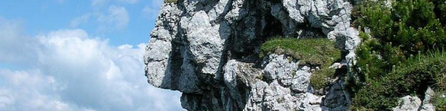 Kalmberg Bad Goisern