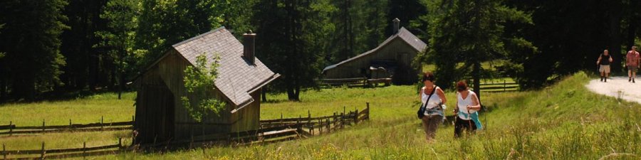 Roßmoosalm Bad Goisern