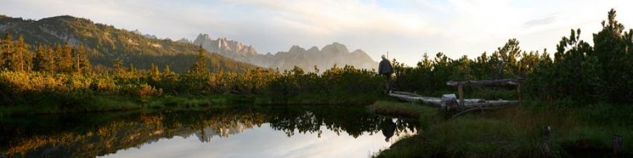 Hiking around Lake Gosau: Löckermoos - © OÖ.Tourismus/Röbl