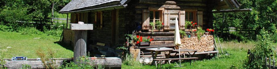 Impressions from Gosau - &copy; Kraft