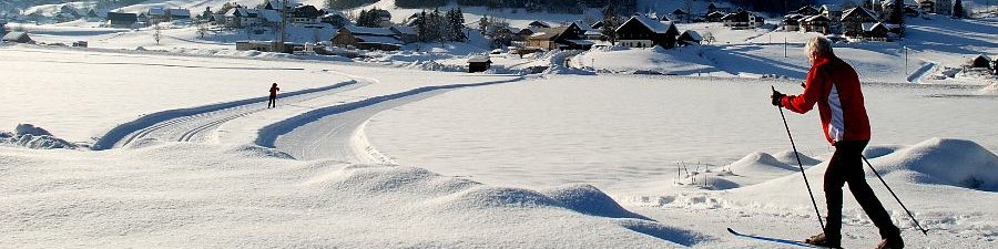 Impressionen von der Langlaufloipe aus Gosau - &copy; Kraft