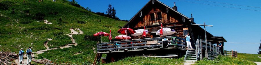 Gosau Zwieselalm