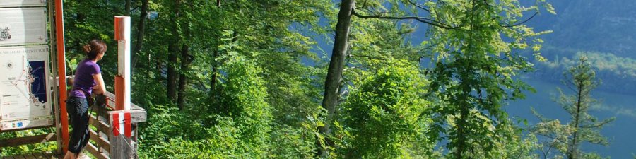 Hiking in Hallstatt: Brine Pipeline Trail  - &copy; Kraft