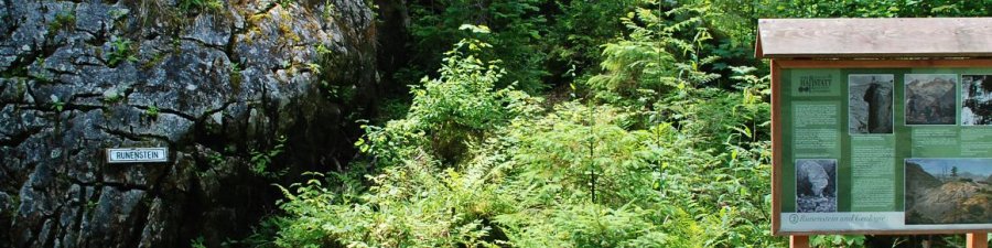 Themenweg Echerntal