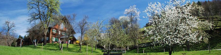 Frühling in Bad Goisern am Hallstättersee - &copy; Kraft