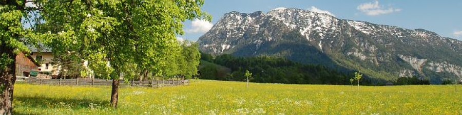 Frühling in Bad Goisern am Hallstättersee: Die letzten Schneeflecken auf dem Sarstein - &copy; Kraft