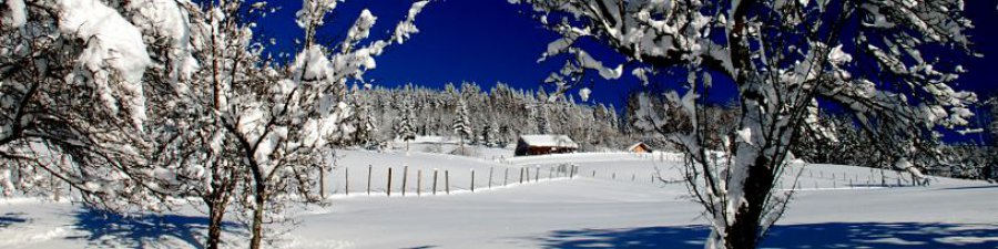 Winterwandern in der Ferienregion Dachstein Salzkammergut - &copy; Kraft