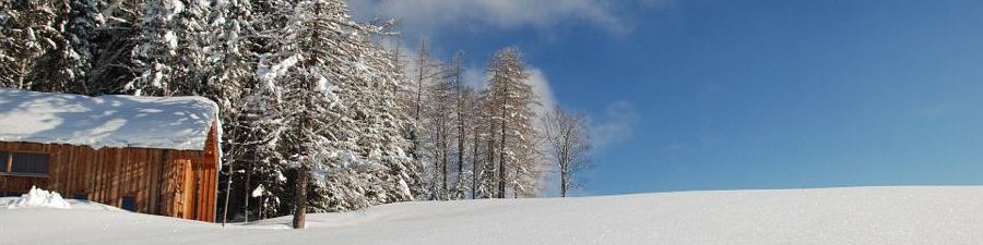 Zauberhafte Schneelandschaft im Goiserertal - &copy; Kraft