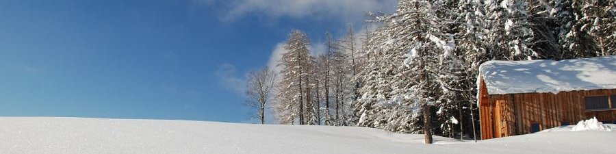 Impressionen aus Bad Goisern am Hallstättersee - &copy; Kraft