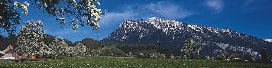 Frühling in der Ferienregion Dachstein Salzkammergut