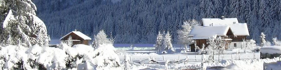 Gästehaus Sams - Gosau: Winterlicher Ausblick