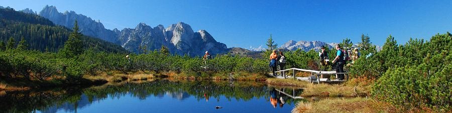 Löckermoos in Gosau am Dachstein  - &copy; Kraft