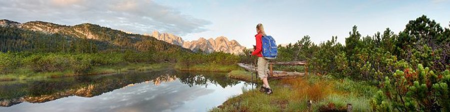 Hiking around Lake Gosau: Löckermoos - © OÖ.Tourismus/Röbl