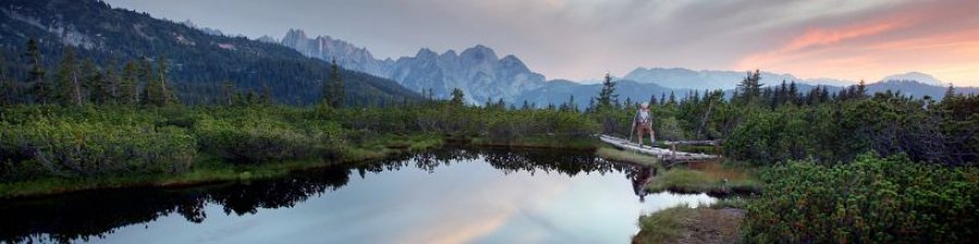 Impressionen aus der Welterberegion Hallstatt / Dachstein Salzkammergut: Löckermoos in Gosau - © OÖ.Tourismus/Röbl