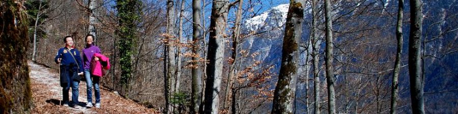 Wandern in Hallstatt: Impressionen vom Salzberg - &copy; Kraft