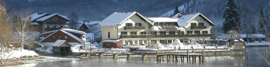 Haus am See Obertraun