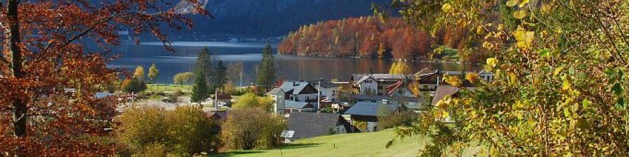 Herbstliche Obertraunerbucht