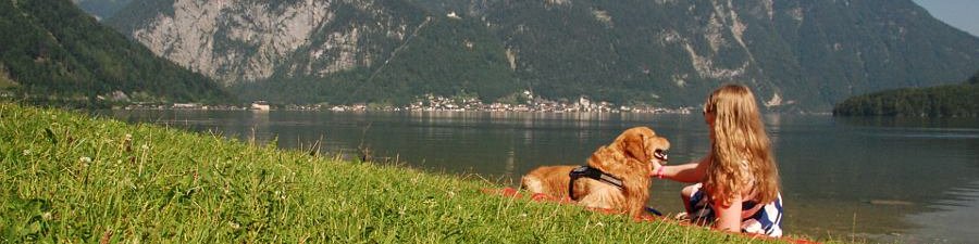 Hundebadestrand in Obertraun am Hallstättersee 