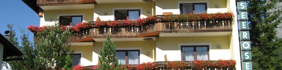 Appartment-Hotel Seerose