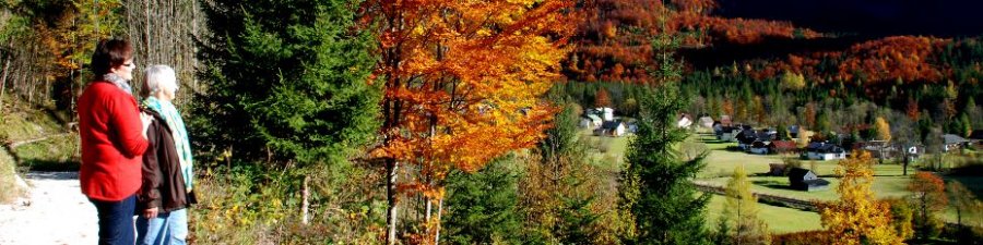 Herbst auf dem Höhenweg in Obertraun