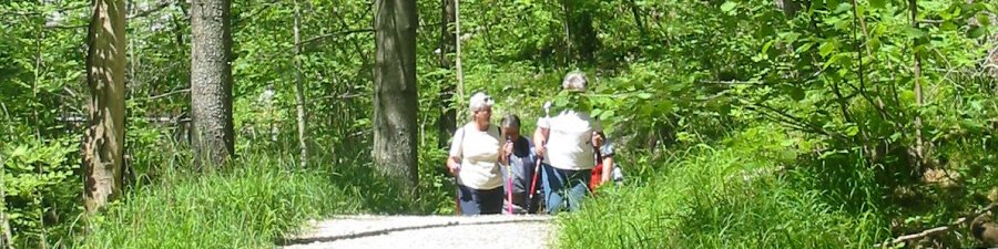 Koppentalwanderweg