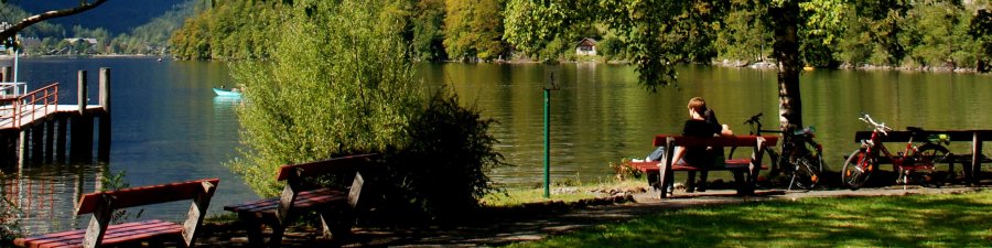 Ostuferradwanderweg Obertraun