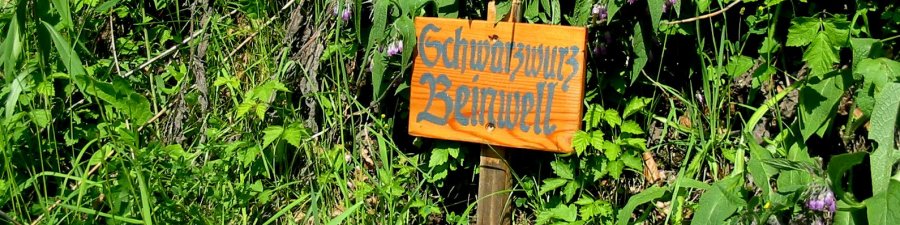 Ostuferwanderweg Obertraun Hallstatt Bad Goisern