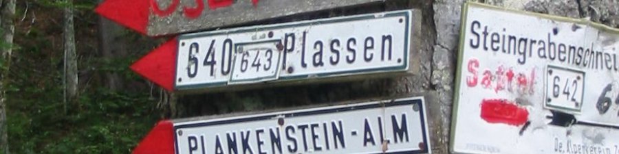 Plassen