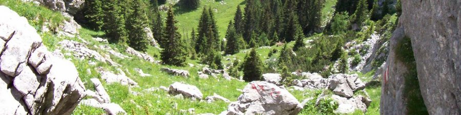 Radltal - Zwischen Hallstatt und Gosau