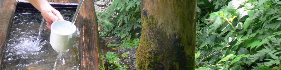 Jungbrunnenweg Russbach