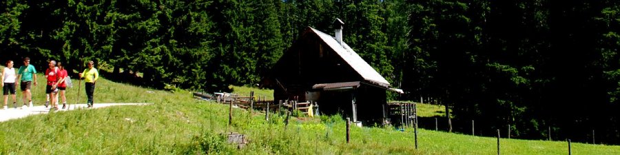 Roßmoosalm Bad Goisern