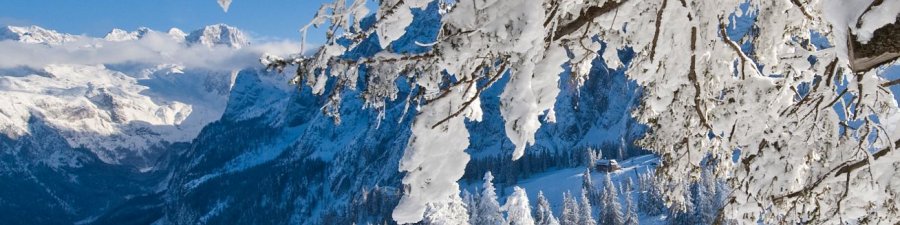 Gosau