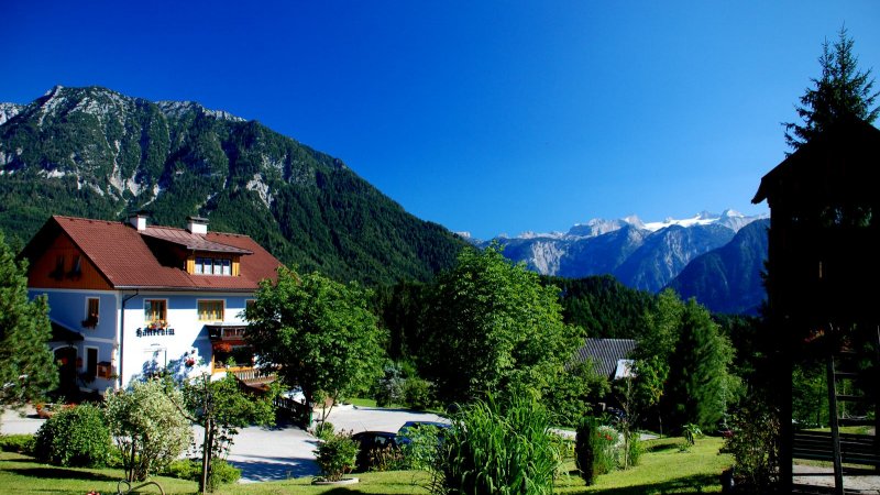 © Kraft | Wanderung zur Halleralm in Bad Goisern am Hallstättersee