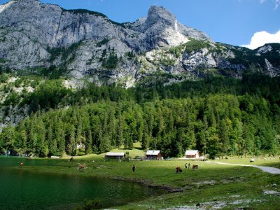 © Kraft | Berghütten und Almen beim Wandern in der UNESCO Welterberegion Hallstatt Dachstein Salzkammergut: Holzmeisteralm in Gosau