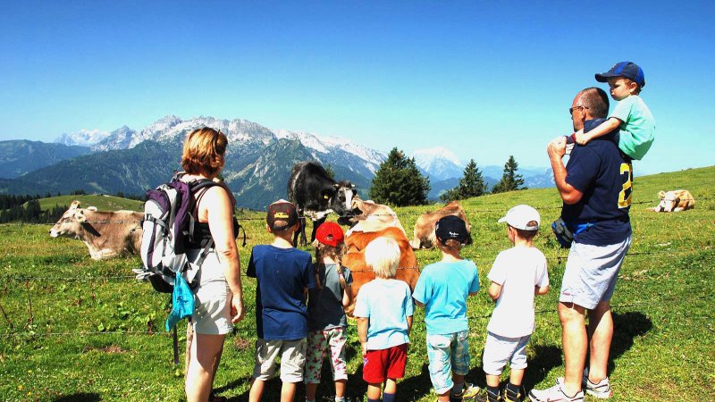 © Kraft | Familienwanderwege im Salzkammergut