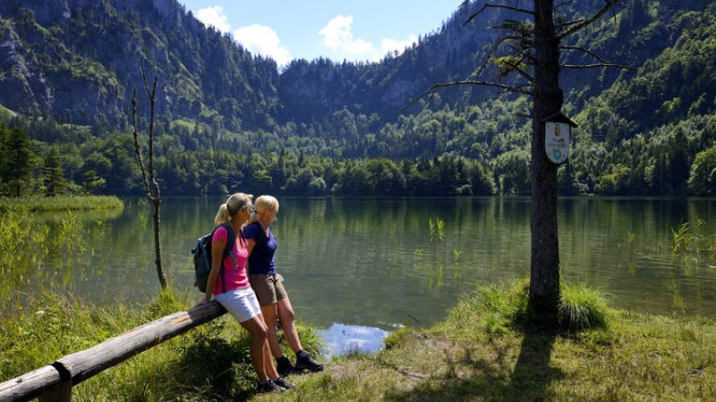 © TVB Ferienregion Traunsee | Wandern am Laudachsee | Wandern und Wanderwege im Salzkammergut: Fernwanderwege &  Weitwanderwege “BergeSeen Trail“ bei einem Urlaub in Österreich.