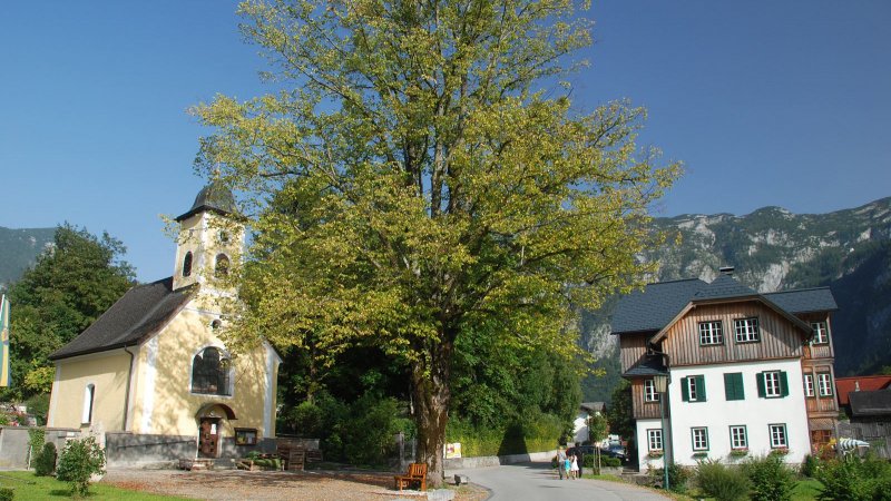 © Kraft | Kirchen in Obertraun am Hallstättersee