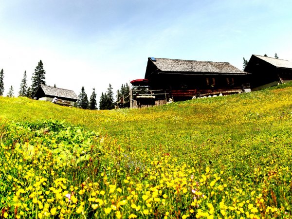 © Kraft | Klangwanderung auf der Plankensteinalm © Kraft | Klangwanderung auf der Plankensteinalm