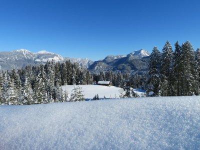 © Röbl/OÖ Werbung | Veranstaltungen im Winter in Gosau & Gosautal im Salzkammergut:  Schneeschuhwanderung “Genieß die Natur“  In der Skiregion Dachstein West. Winterwandern bei Ihrem Urlaub in Gosau.