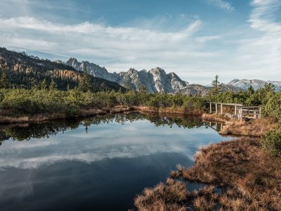 © OÖ.Tourismus/Röbl  / Wandern in Gosau zum Hochmoor Löckermoos - Glücksplätze im Salzkammergut