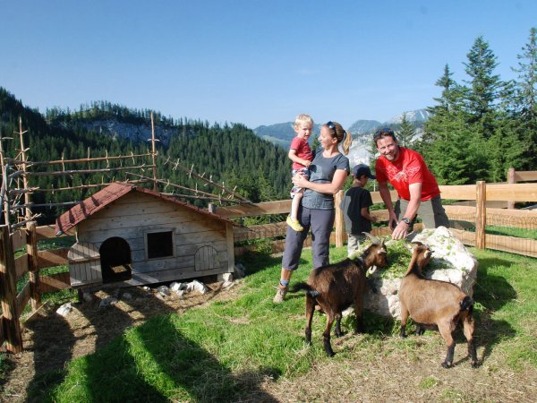 ©Jack/www.bad-goisern.net / Veranstaltungen für Kinder & Familien im Salzkammergut